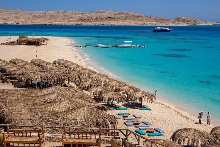 whatsapp image 2026k 03 06 at 12.16.36 am