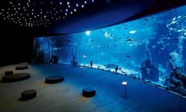 aquarium 2