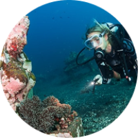 ellipse 60 ellipse 60